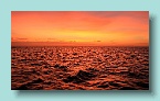 439_Sailors Delight